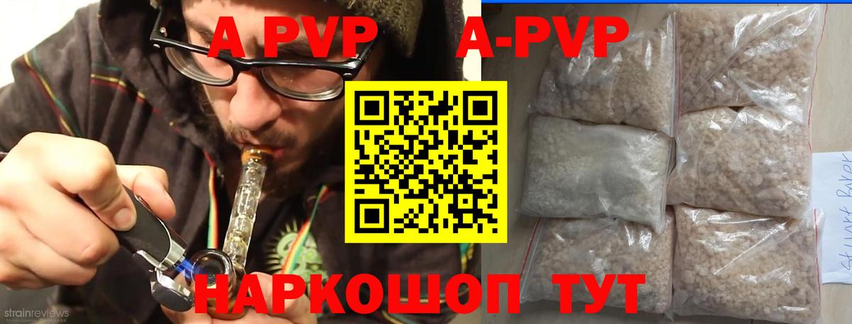 Alfa_PVP СК КРИС Асино