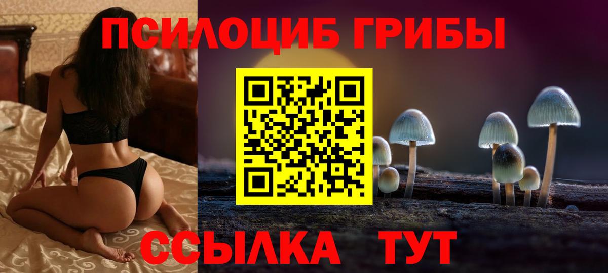 Галлюциногенные грибы Magic Shrooms Асино